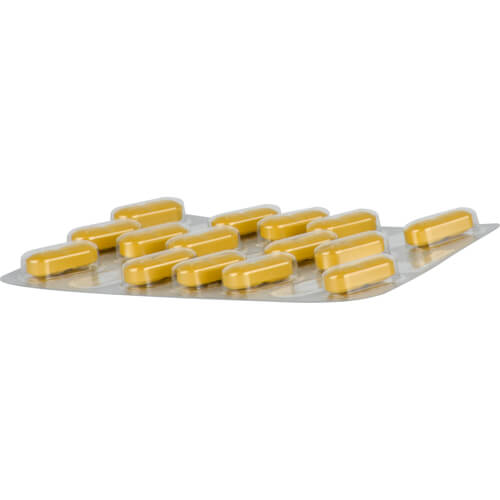 TEBONIN konzent 240 mg Filmtabletten