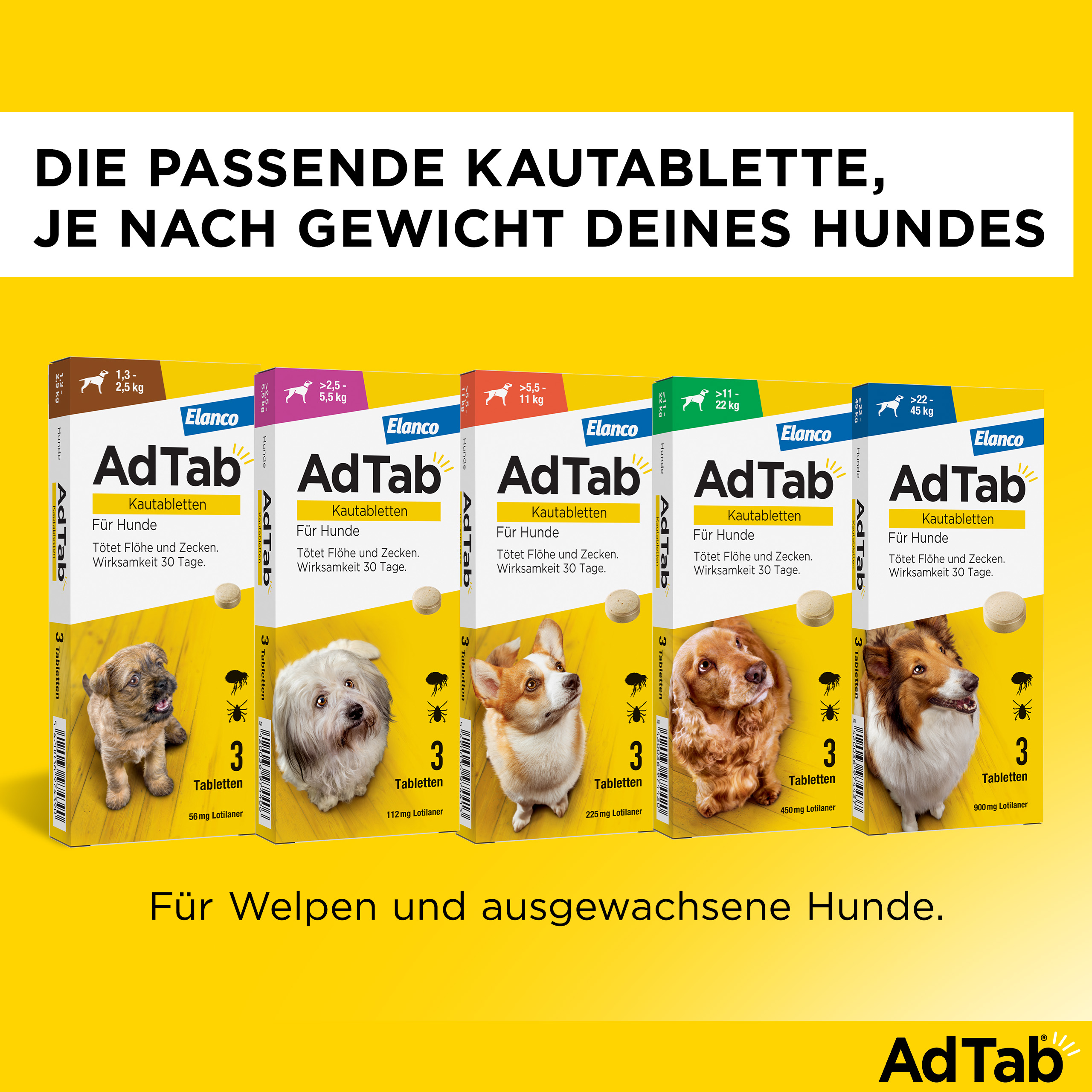 ADTAB 450 mg Kautabletten für Hunde >11-22 kg