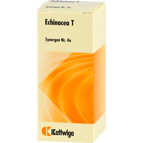 SYNERGON KOMPLEX 4a Echinacea T Tabletten