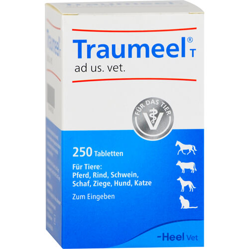 TRAUMEEL T ad us.vet.Tabletten